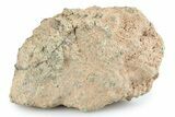 Martian Shergottite Meteorite ( g) - NWA #280952-1
